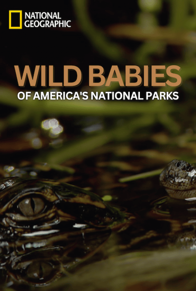WildBabiesOfAmericasNationalParks_WebSize