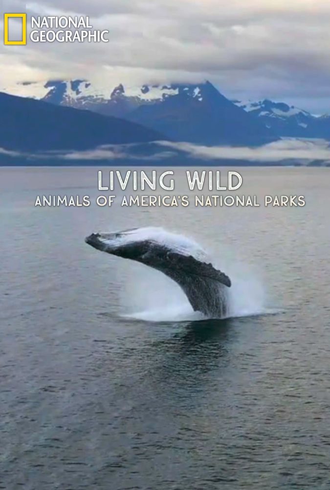 film-composer-roman-molino-dunn-National-Geographic-Animals-Of-Americas-National-Parks